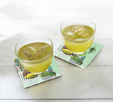 Porch Garden Coaster Set