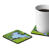 Swan Lake Coasters