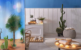 Xerophytic Garden Shower Curtain